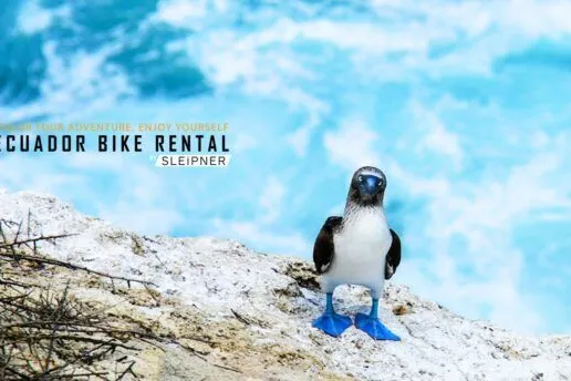 Galapagos island hopping package